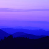 コラム：出遭いが育てる力　弘法大師空海